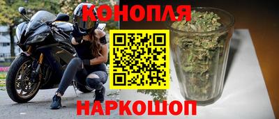 Альфа ПВП Пушкино